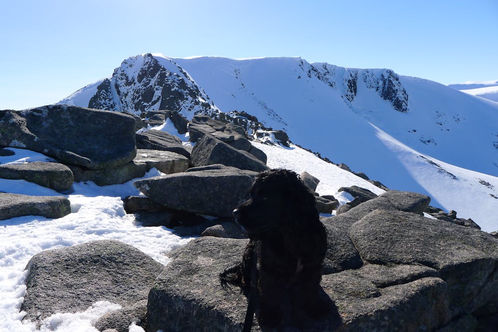 Photo from Cairngorm 4000ers Ski Tour