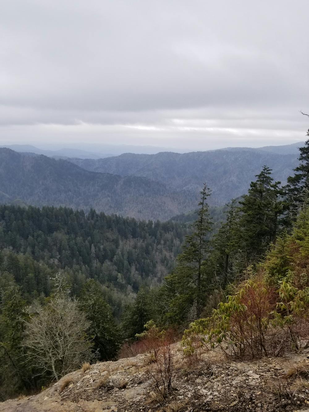 Photo from Smokies High Peaks Multi-Day Hike