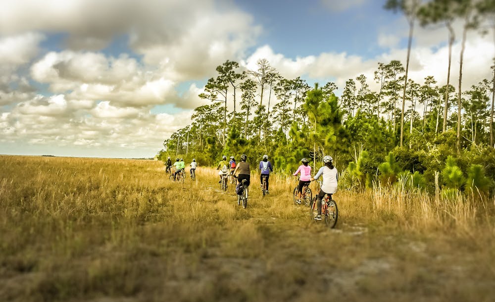 Biking on Long Pine Key Nature Trail