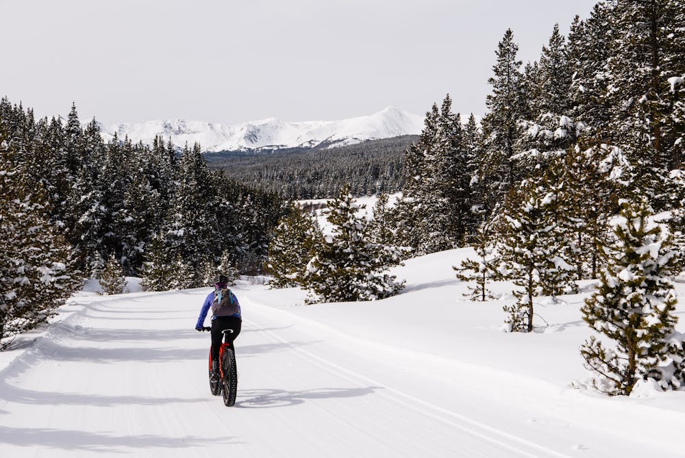 Wide, groomed nordic trail.