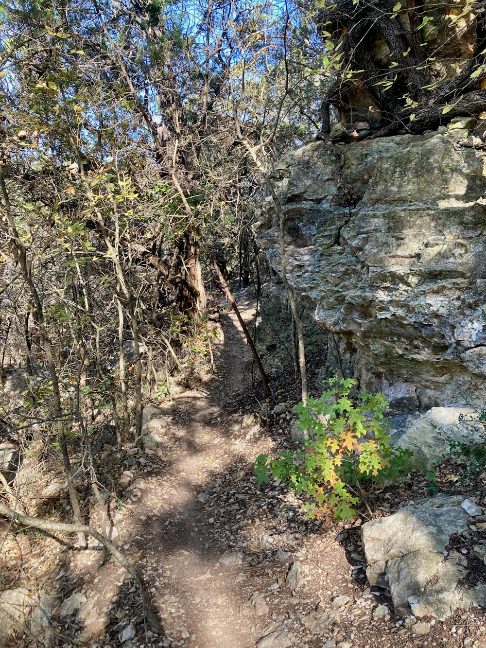 Photo from South Austin Trail Network Loop