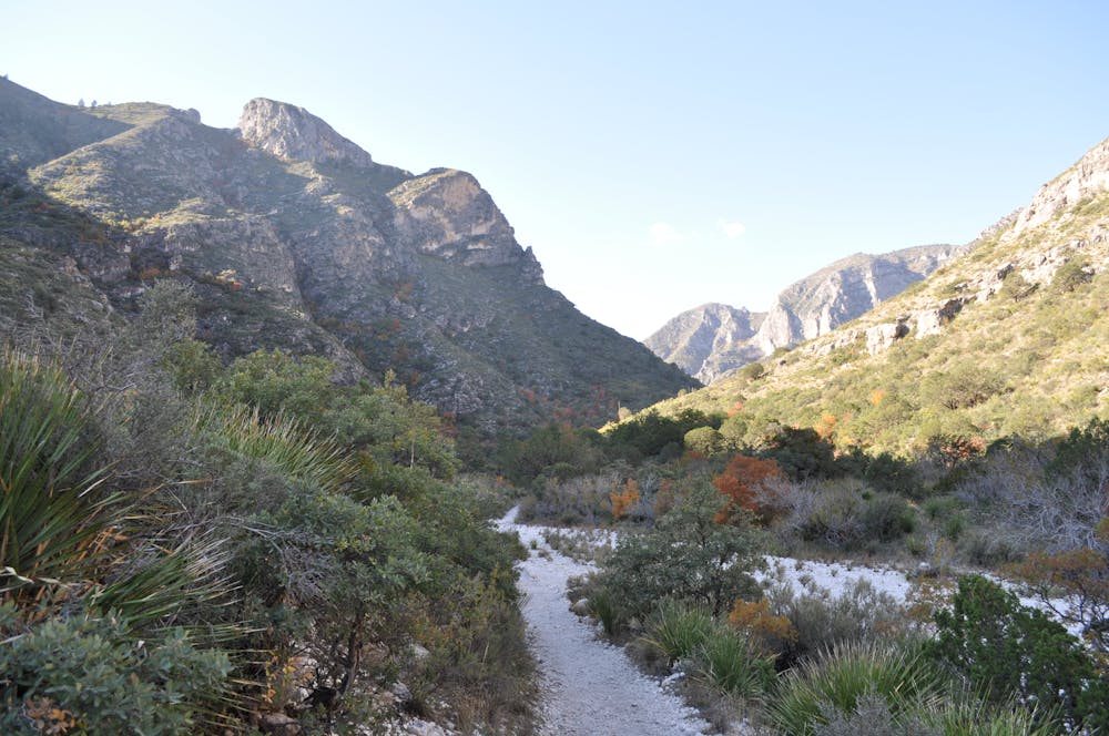 McKittrick Canyon Trail