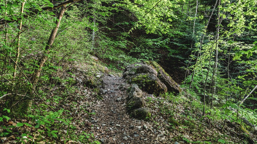 Photo from Zug.Run 10 Schönegg - Oberwil Wald