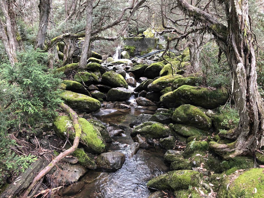 A creek on the Merritt's Nature Trail valley section