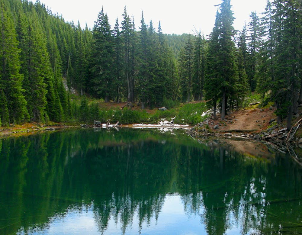 One of many small lakes in the Diamond Peak Wilderness