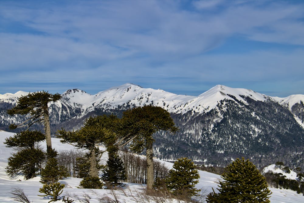 Mallín del Toro range from the summit