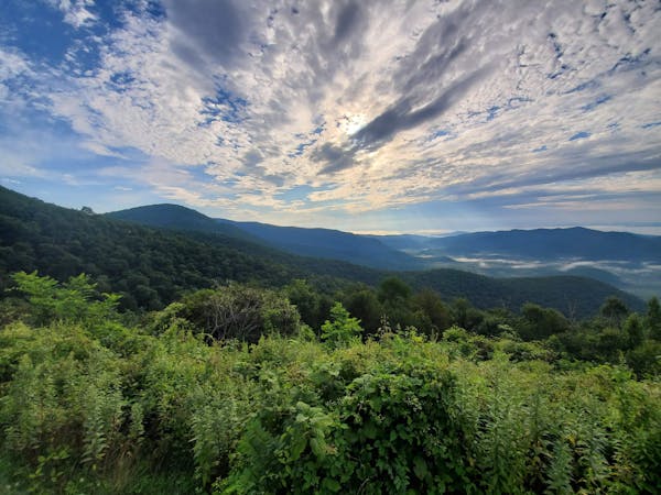 The Pisgah: 10 Must-Do Gravel Rides to Explore Western NC