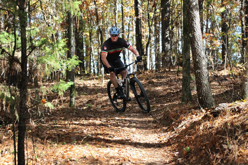 Old school singletrack through the pine forest.