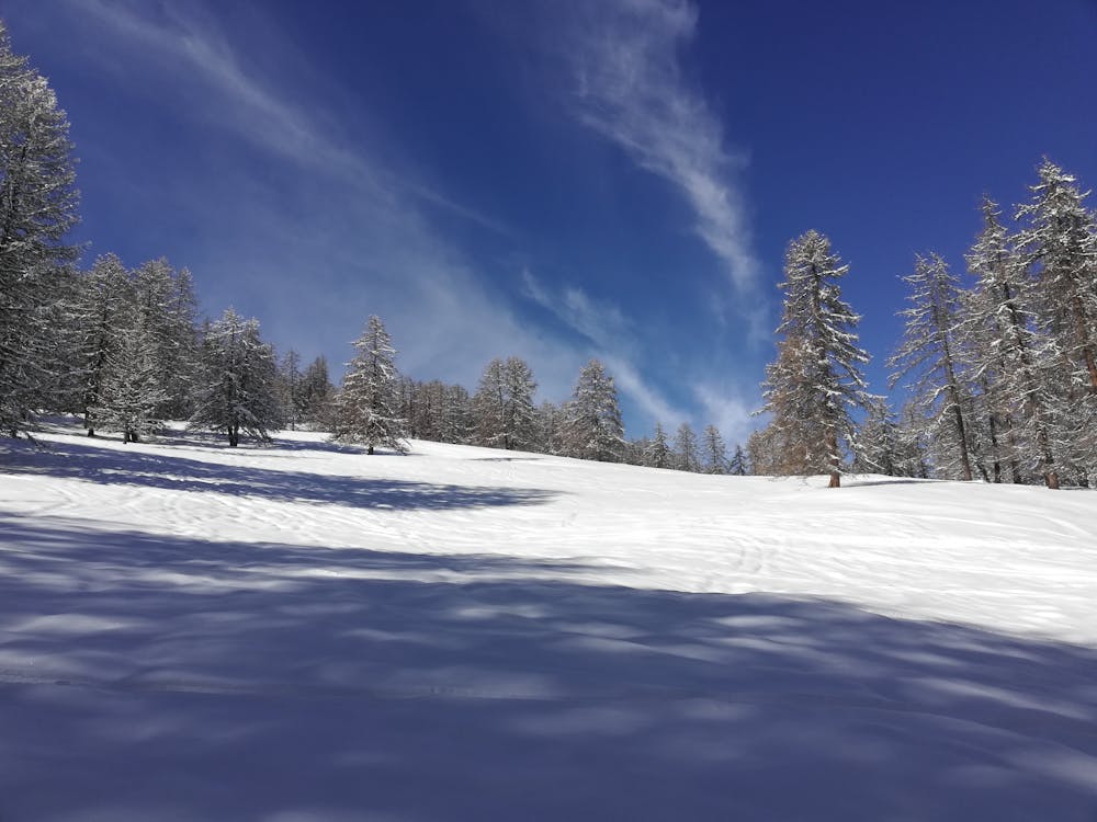 Photo from Rando ski Crévoux
