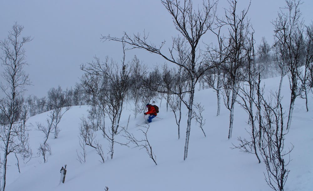 Fun skiing through trees on the way down