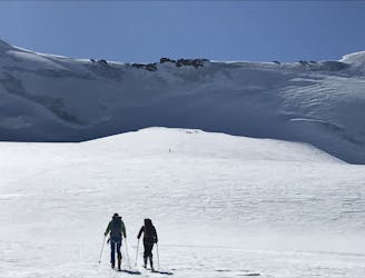Ortler Ski Tour: Martello Hut to Branca Hut
