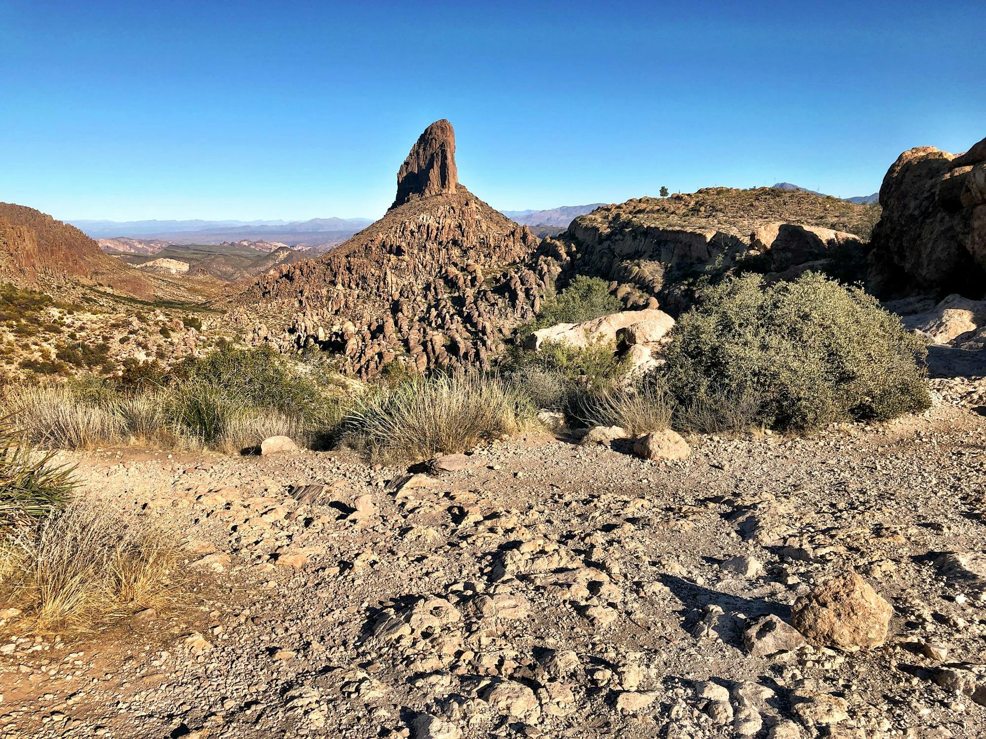 View of the Weavers Needle from Fremont Saddle