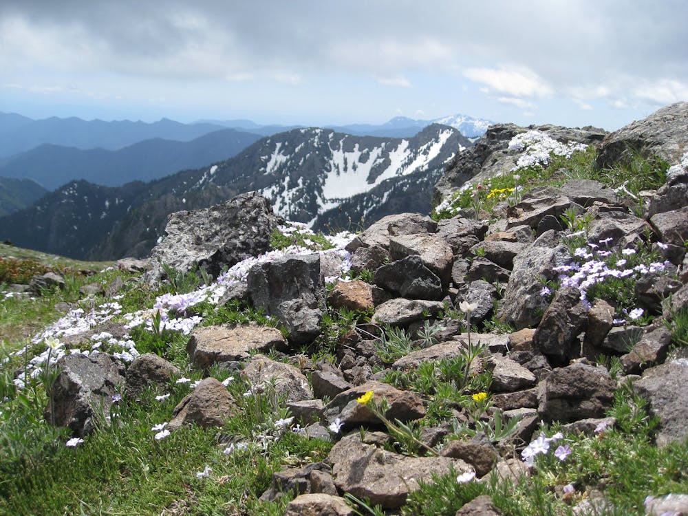 On the south summit of Mount Townsend