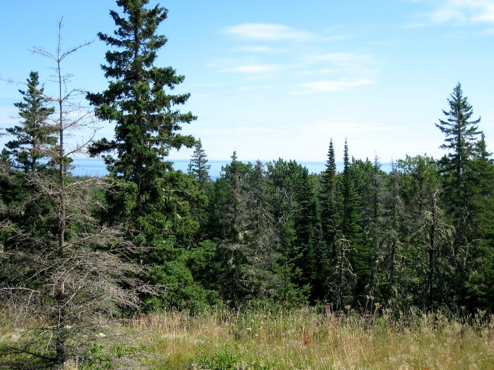 Views along the Greenstone Ridge Trail