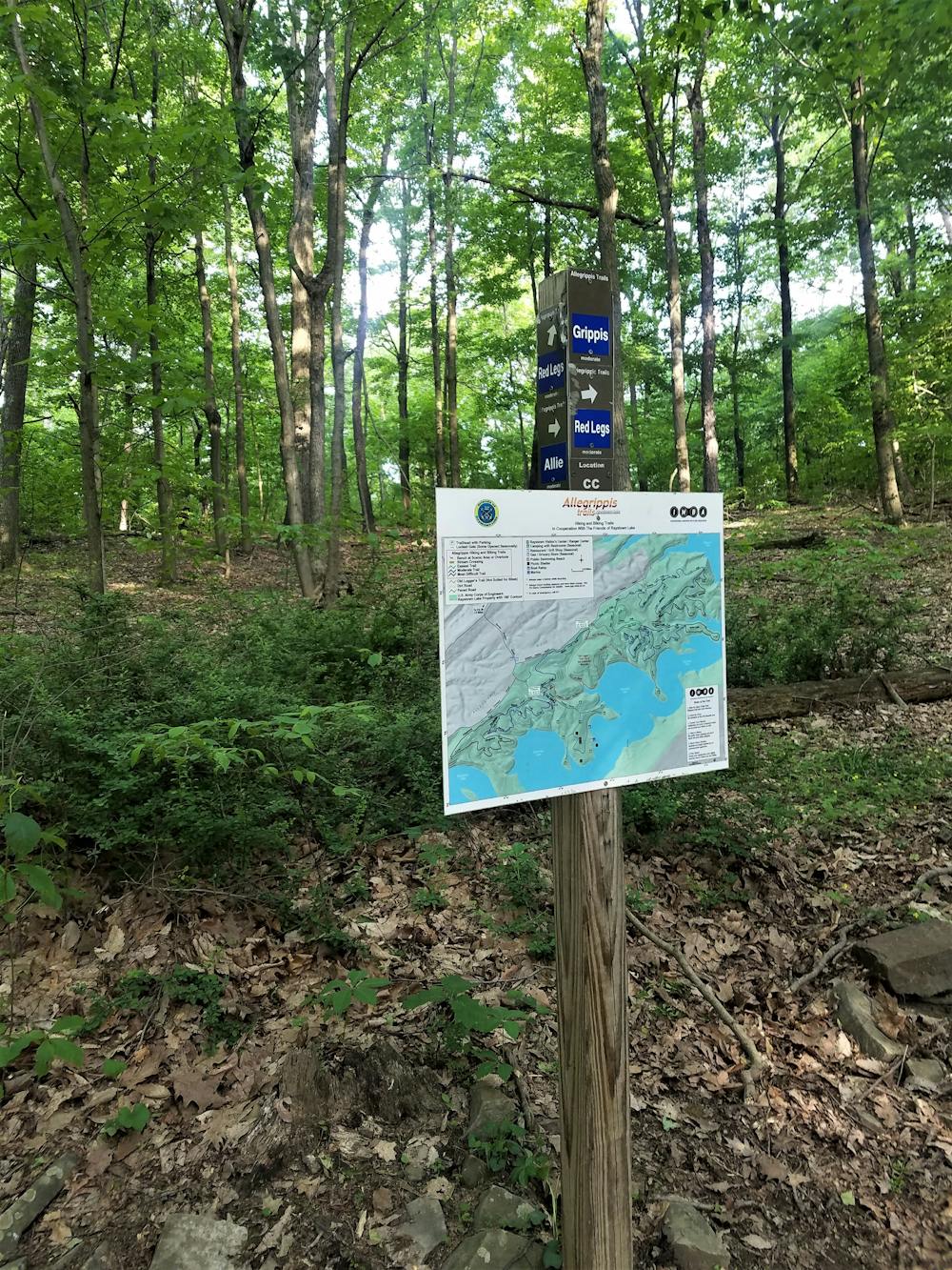 Raystown Lake 13-Miler, Trail Running route in Pennsylvania
