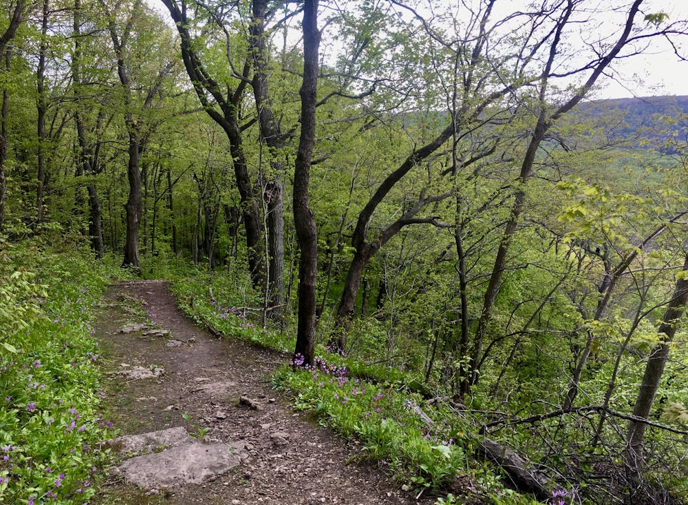 Photo from Sentinel Ridge Trail