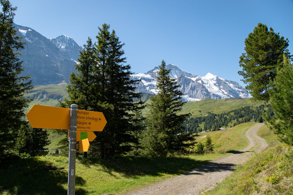 Photo from Männlichen To Kleine Scheidegg Off The Beaten Path