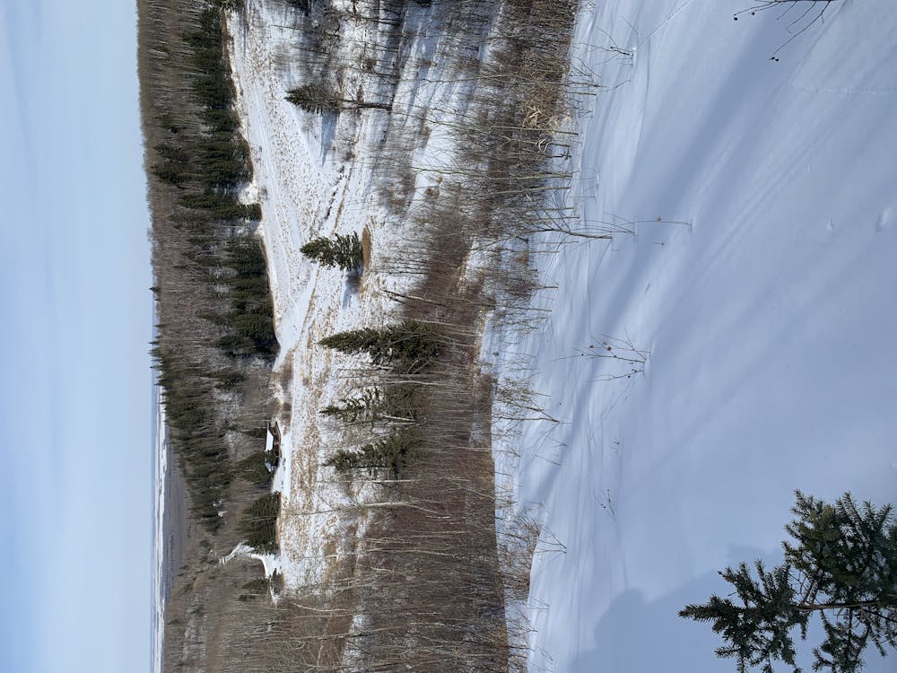 Photo from Slopes - A morning backcountry skiing