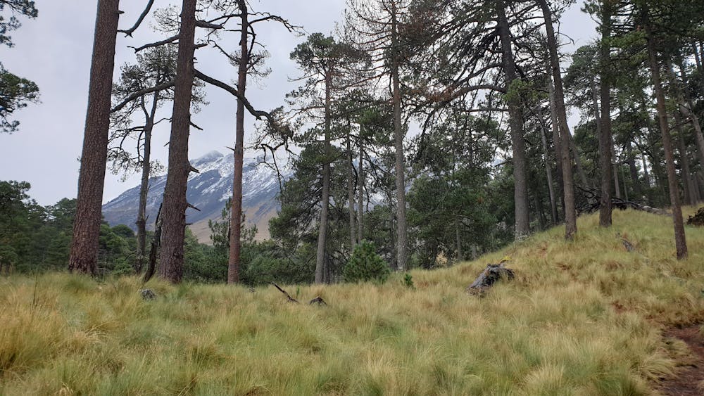 Photo from Nevado de Toluca