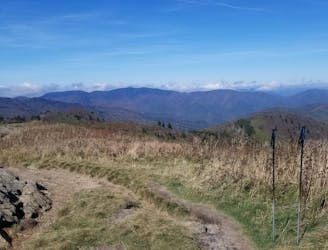 Best Trails for Overnight Camping Near Asheville