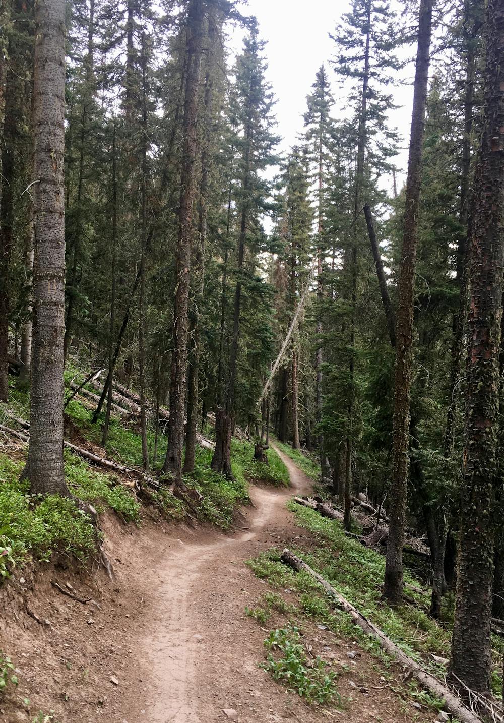 Photo from Village Trail