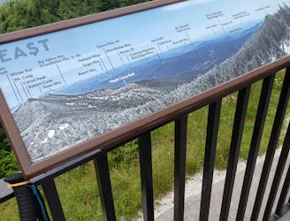 Mount Mitchell Summit Trail