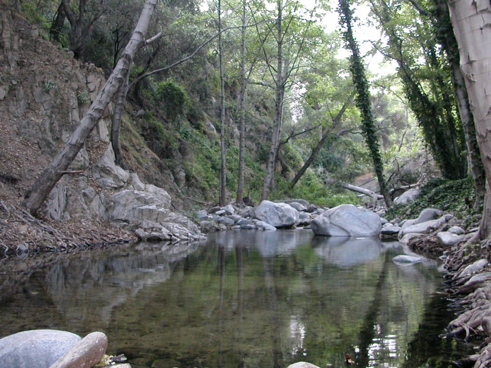Swimming hole along the creek