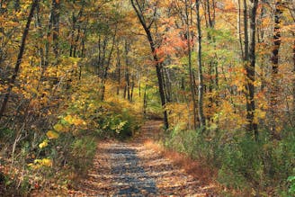 Appalachian Trail: Lehigh Gap to Delaware Water Gap