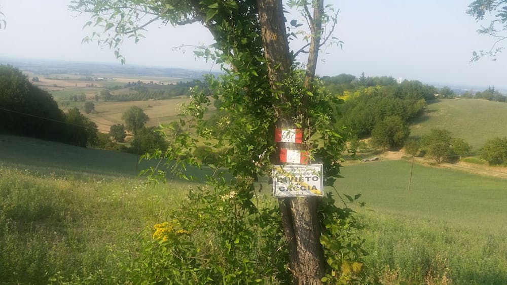 Photo from Ecco la route 45 del Monferrato