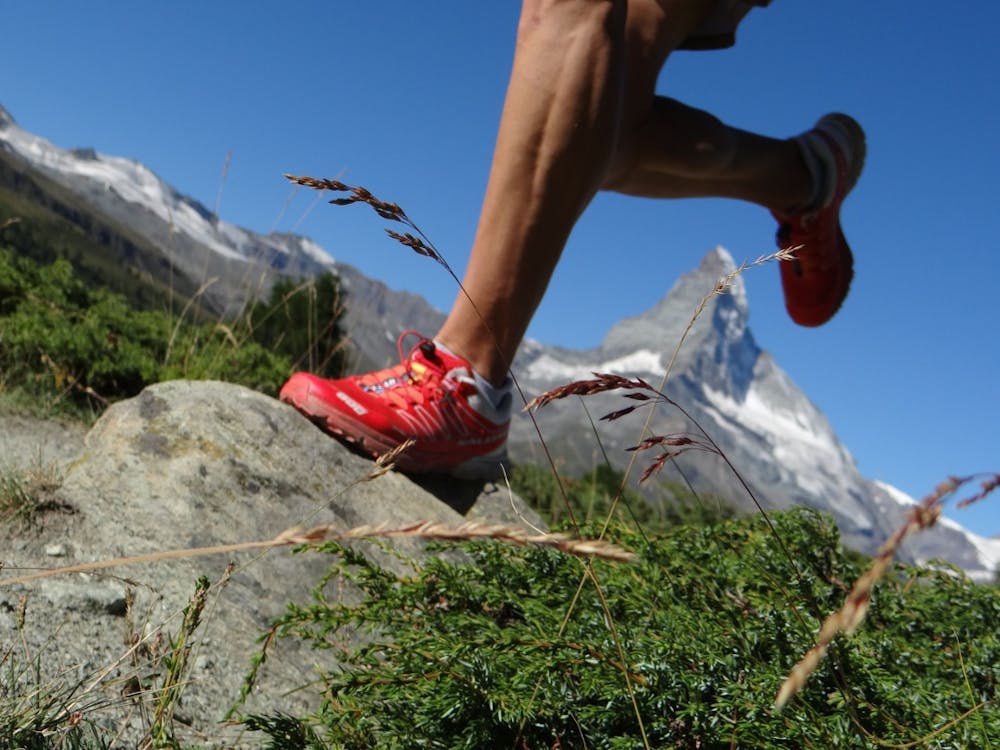 Photo from Matterhorn Trail