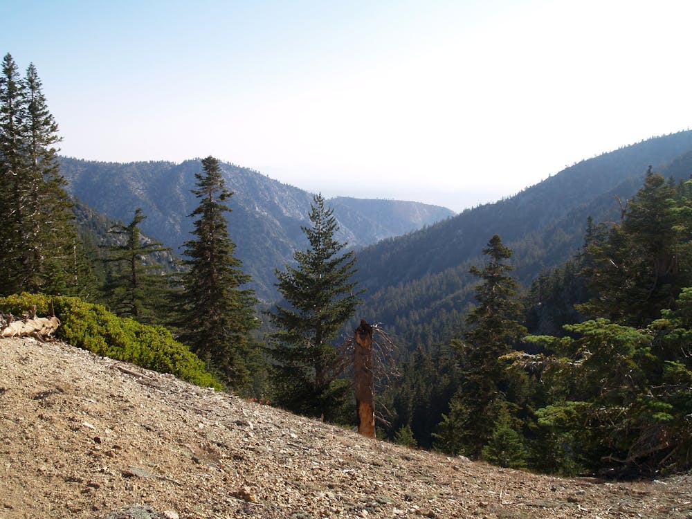 View from the Cucamonga Saddle, nearing the peak