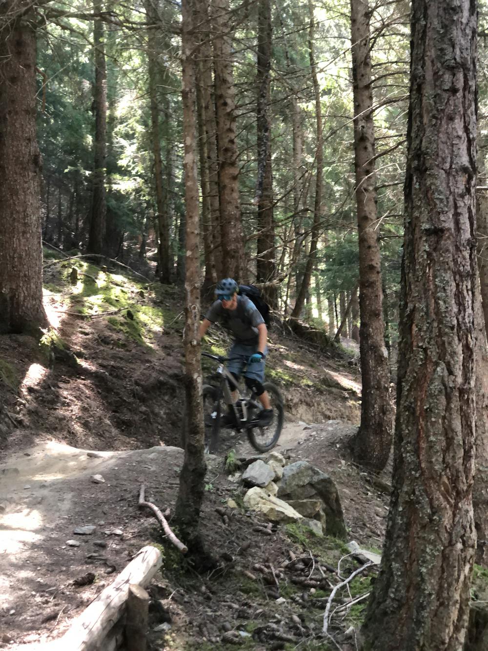Riding in between trees