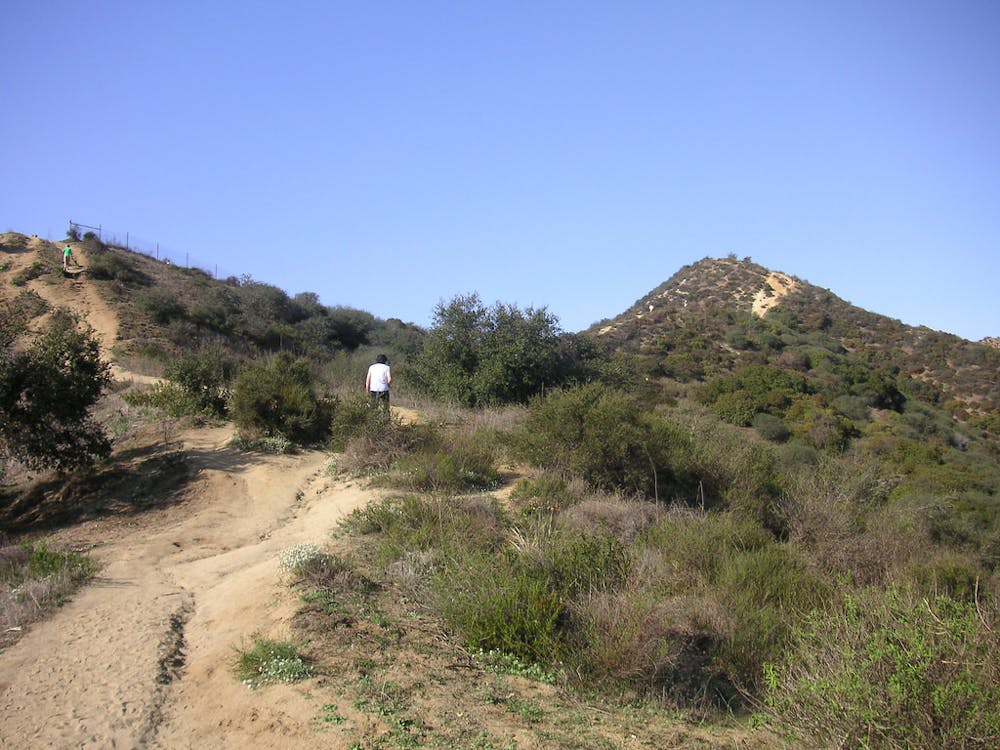 Trails in Runyon Canyon Park
