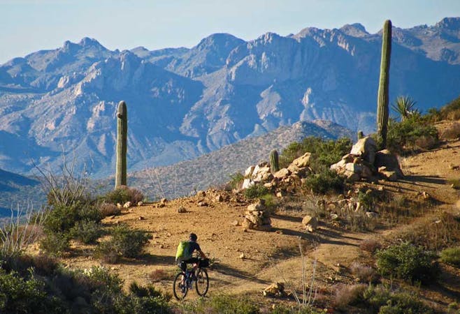 Experience the Desert: Mountain Bike the Arizona Trail