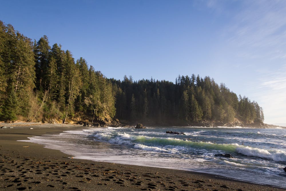 The beach the canyon and entrance to the forested section of the Juan de Fuca trail are on