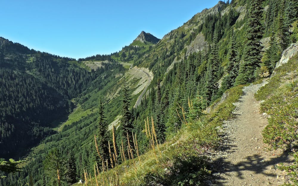Leaving Chinook Pass on the PCT