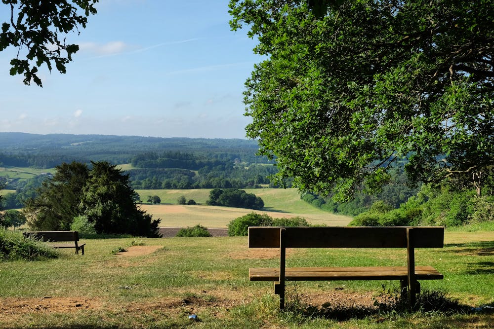 Views from Newlands Corner on a sunny summer's morning