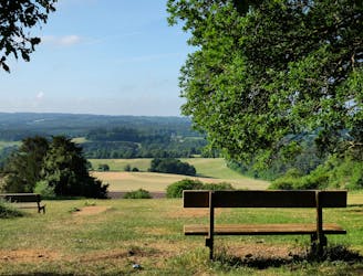 Newlands Corner and Chantry Wood