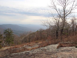 Appalachian Trail: Neels Gap to Dicks Creek Gap