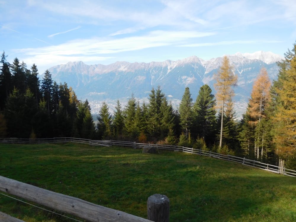 Gorgeous Autumnal colours from the Rinner Alm