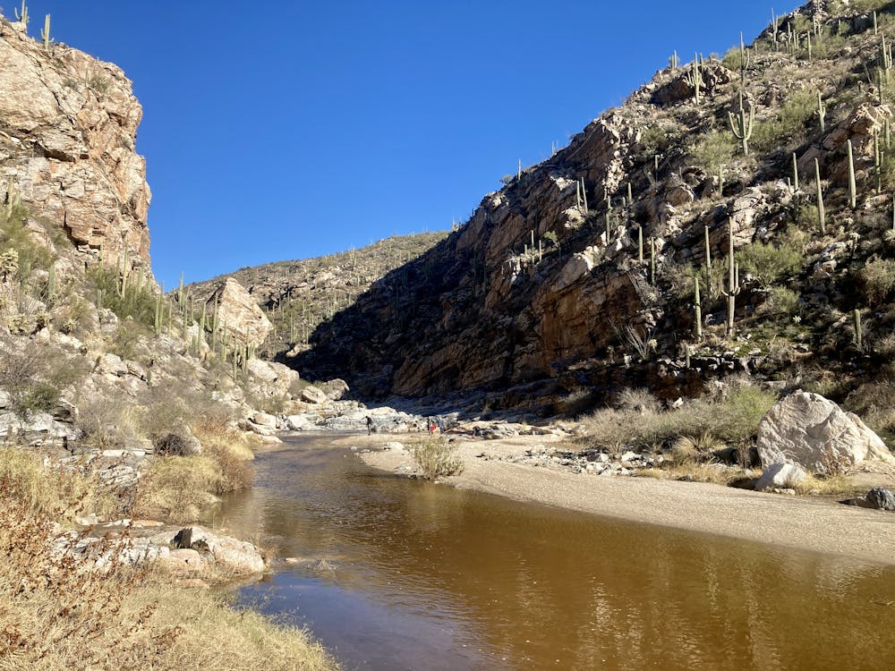 Photo from Tanque Verde Falls