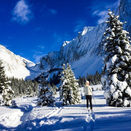 Big Scenery, Easy Terrain : Mellow Canmore Ski Tours