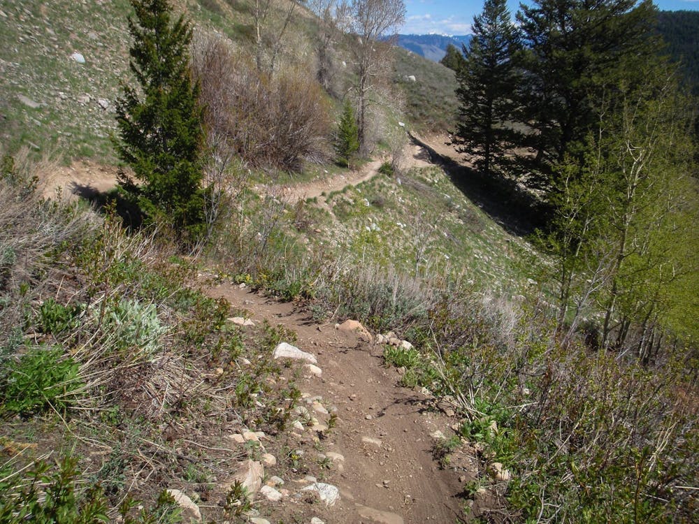Photo from Fuzzy Bunny -> Powerline Jumps -> Parallel Trail