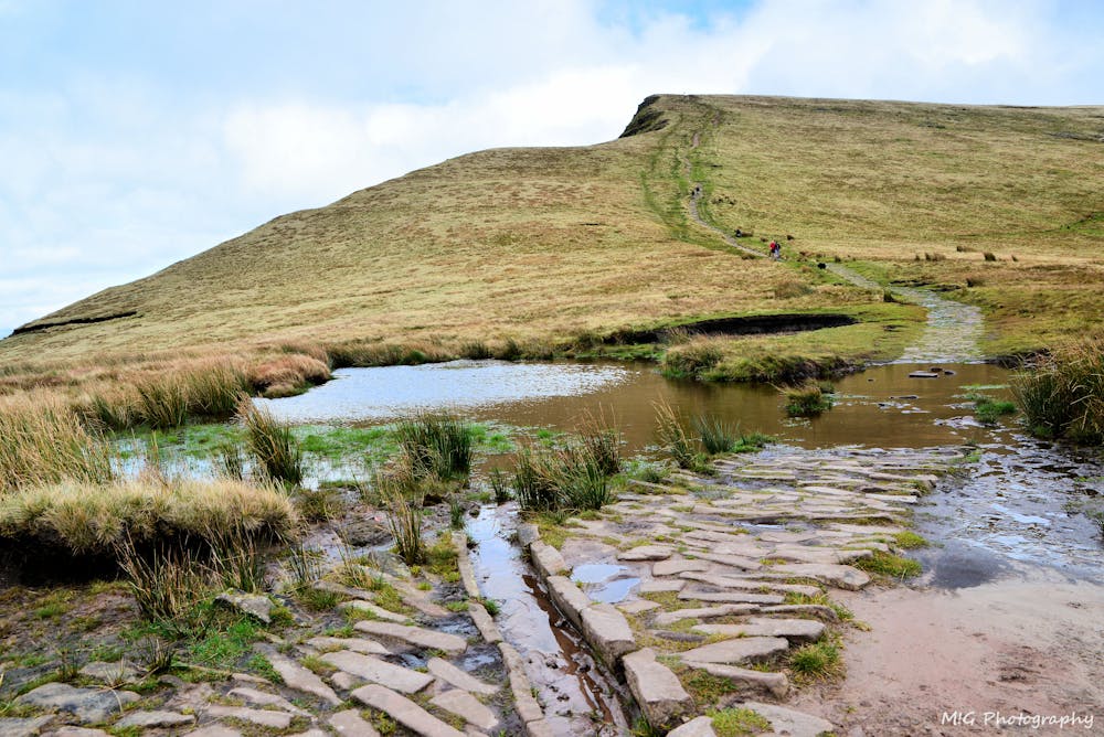 Looking up towards Cribyn (2608ft), Brecon Beacons National Park, Wales UK