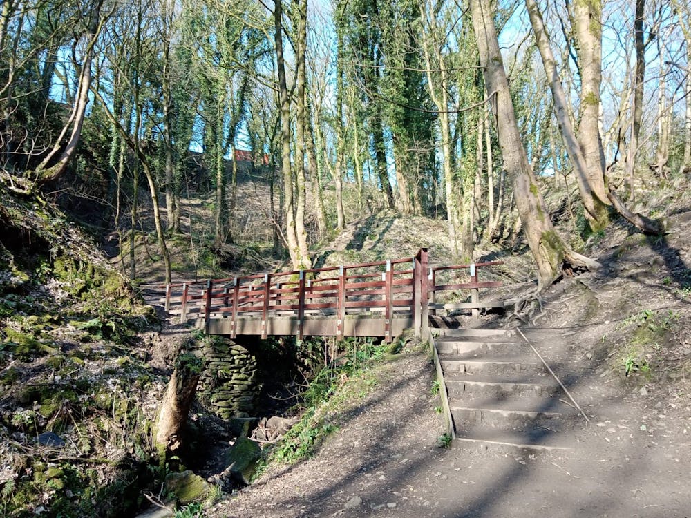 One of the little bridges over the brook