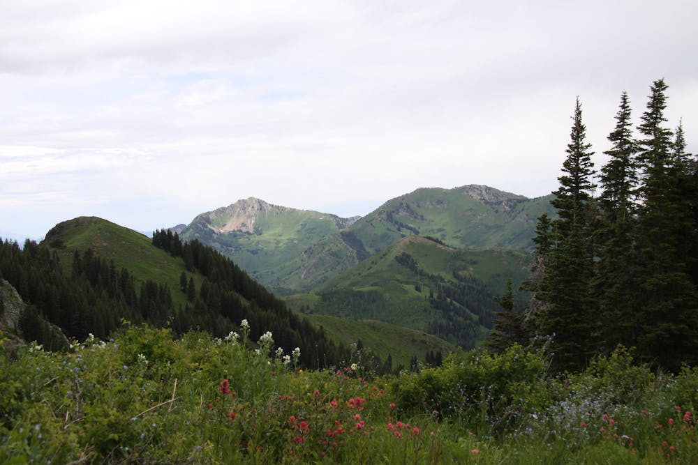View of Mount Raymond and Gobblers Knob from a peak above Desolation Lake.
