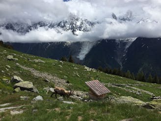 Chamonix -Aiguillette des Houches - Les Houches - Chamonix