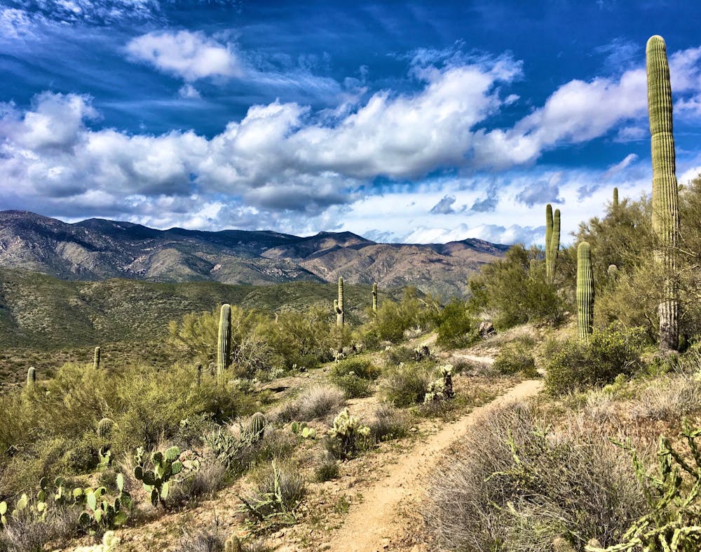 Photo from Black Canyon Trail