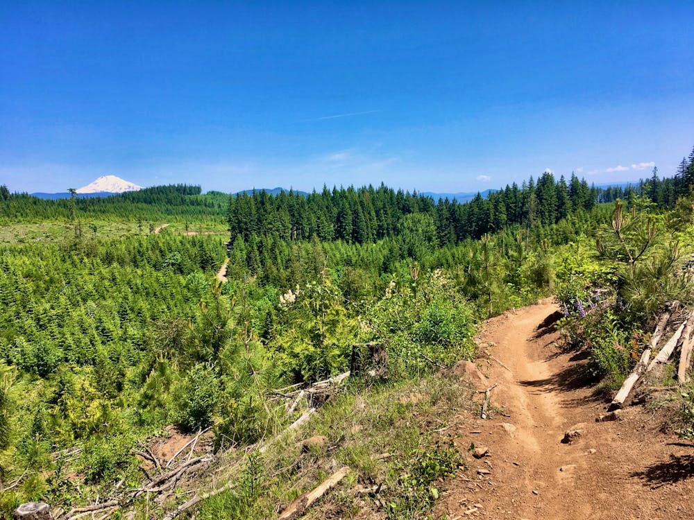 Photo from Post Canyon: Loop Ride