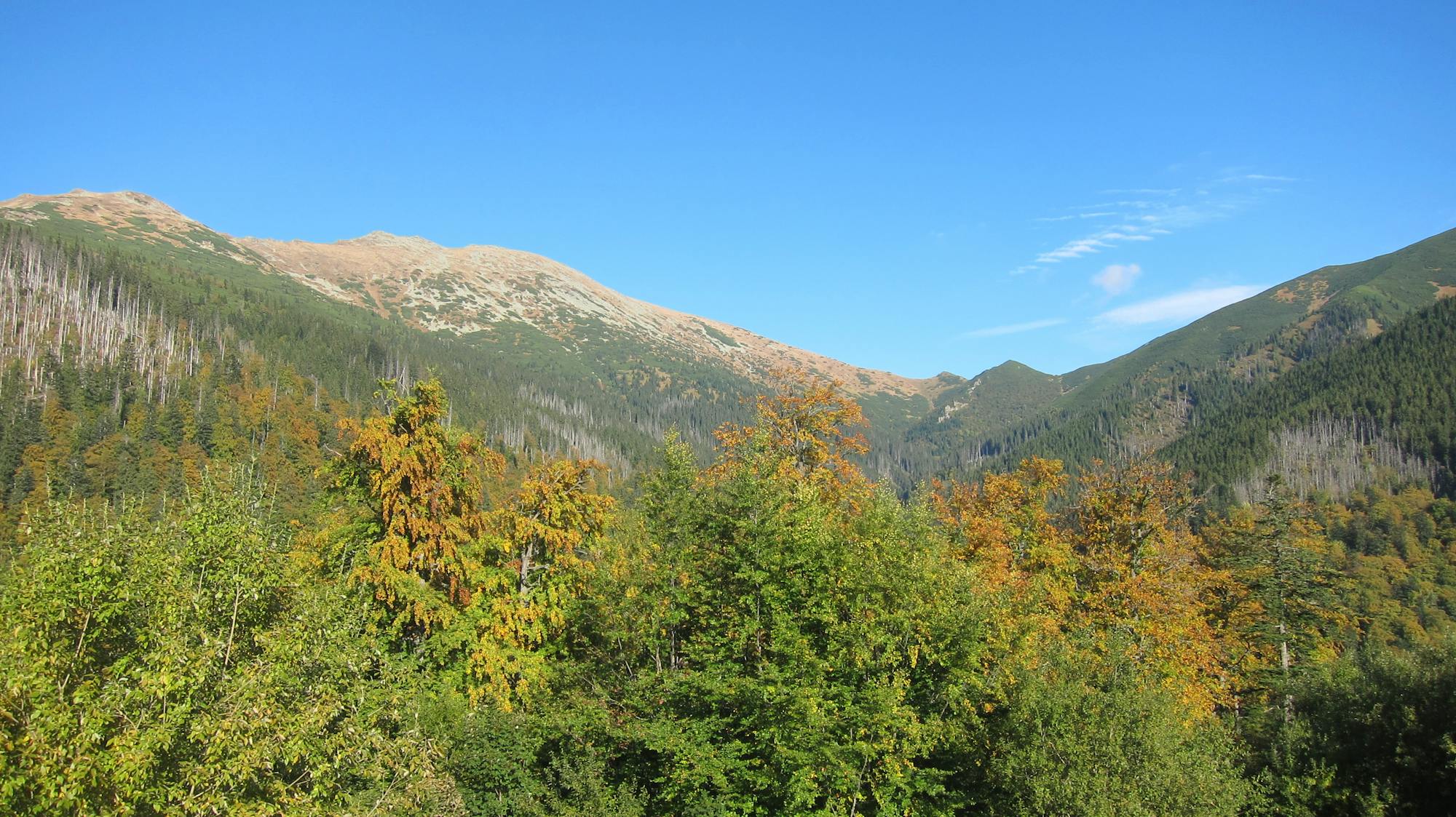 Blick zum Sattel wo sich die Berghütte Stefanika befindet und in das Auf- und Abstiegstal